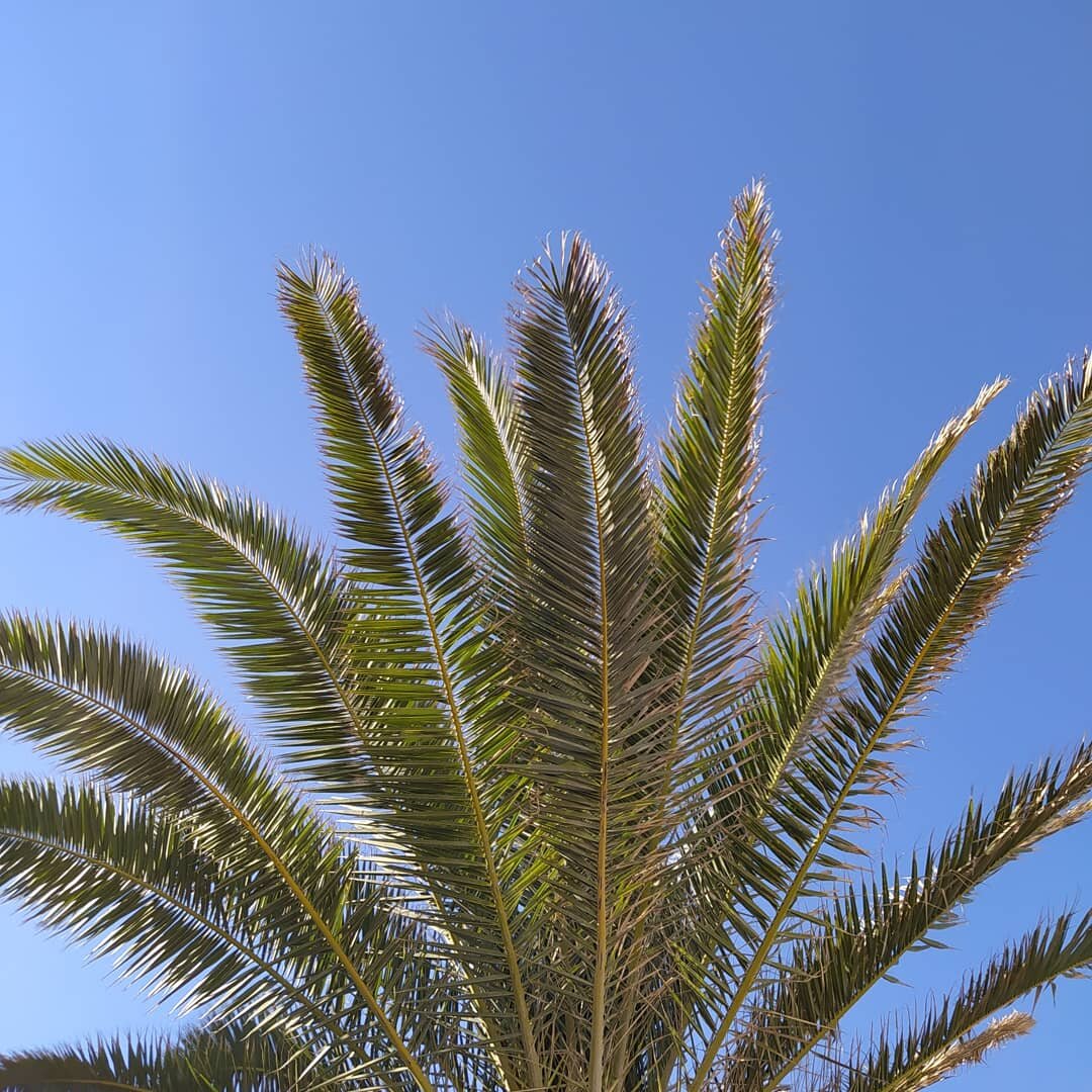 Puerto de sagunto. Valencia. 