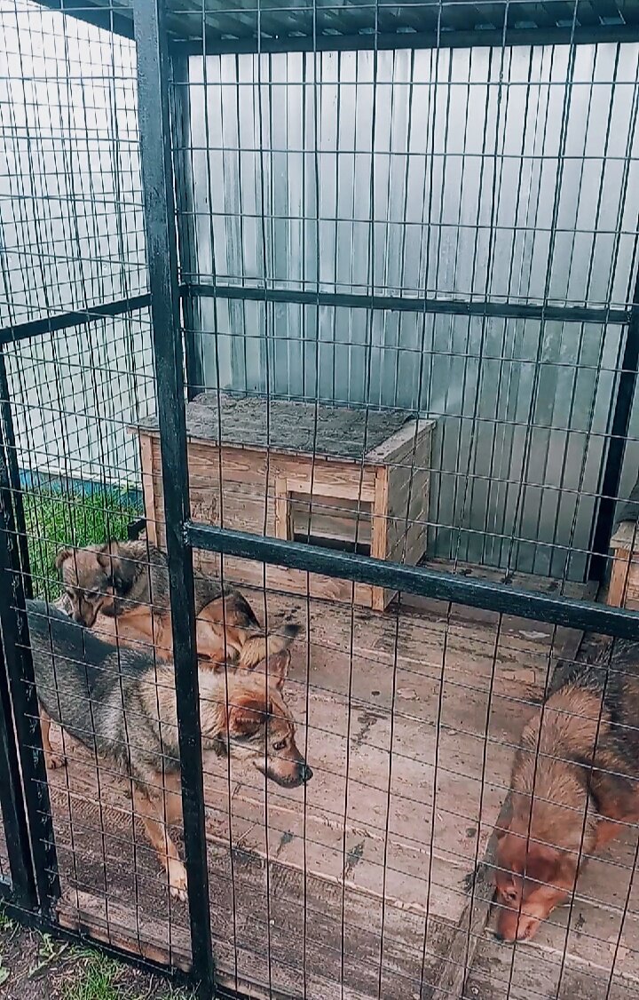 Тут они вместе