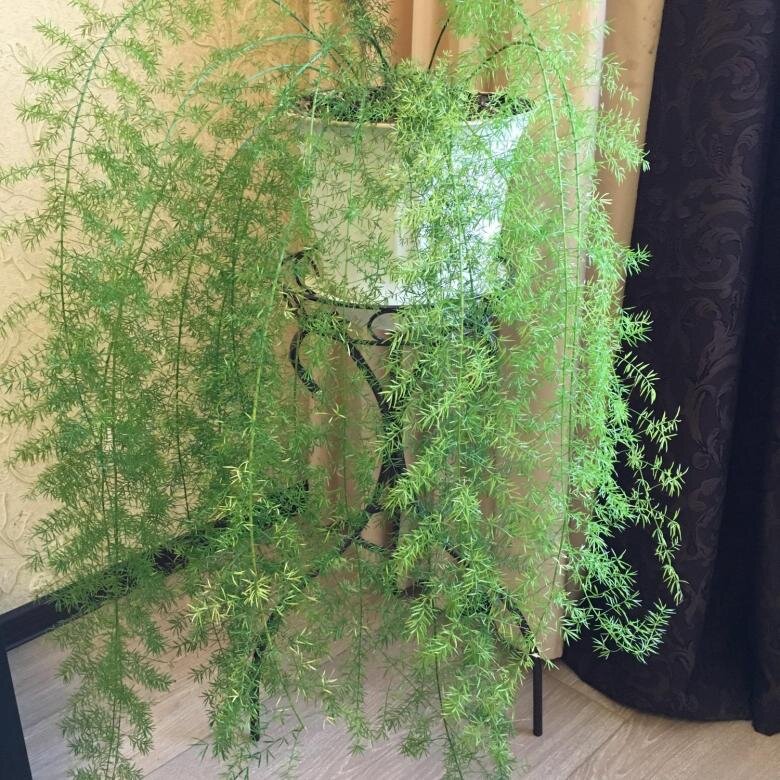 Все фотографии из открытых источников в Интернете.