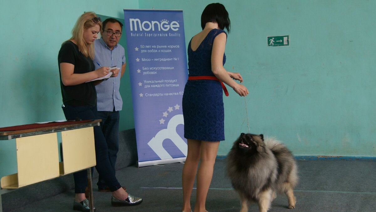 На выставке (личное фото)