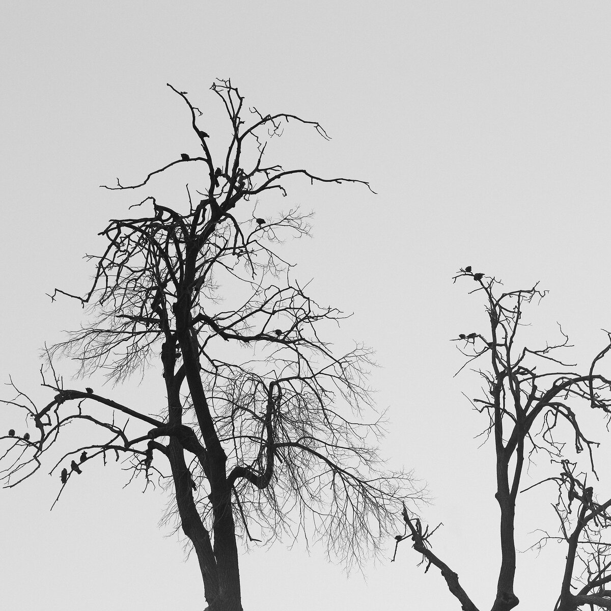 Автор фотографии: Виктория Леш