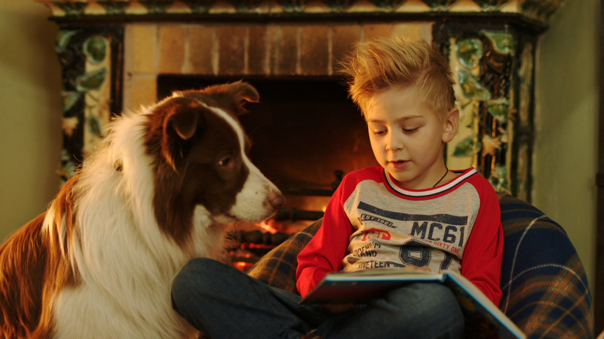 Кадр из фильма