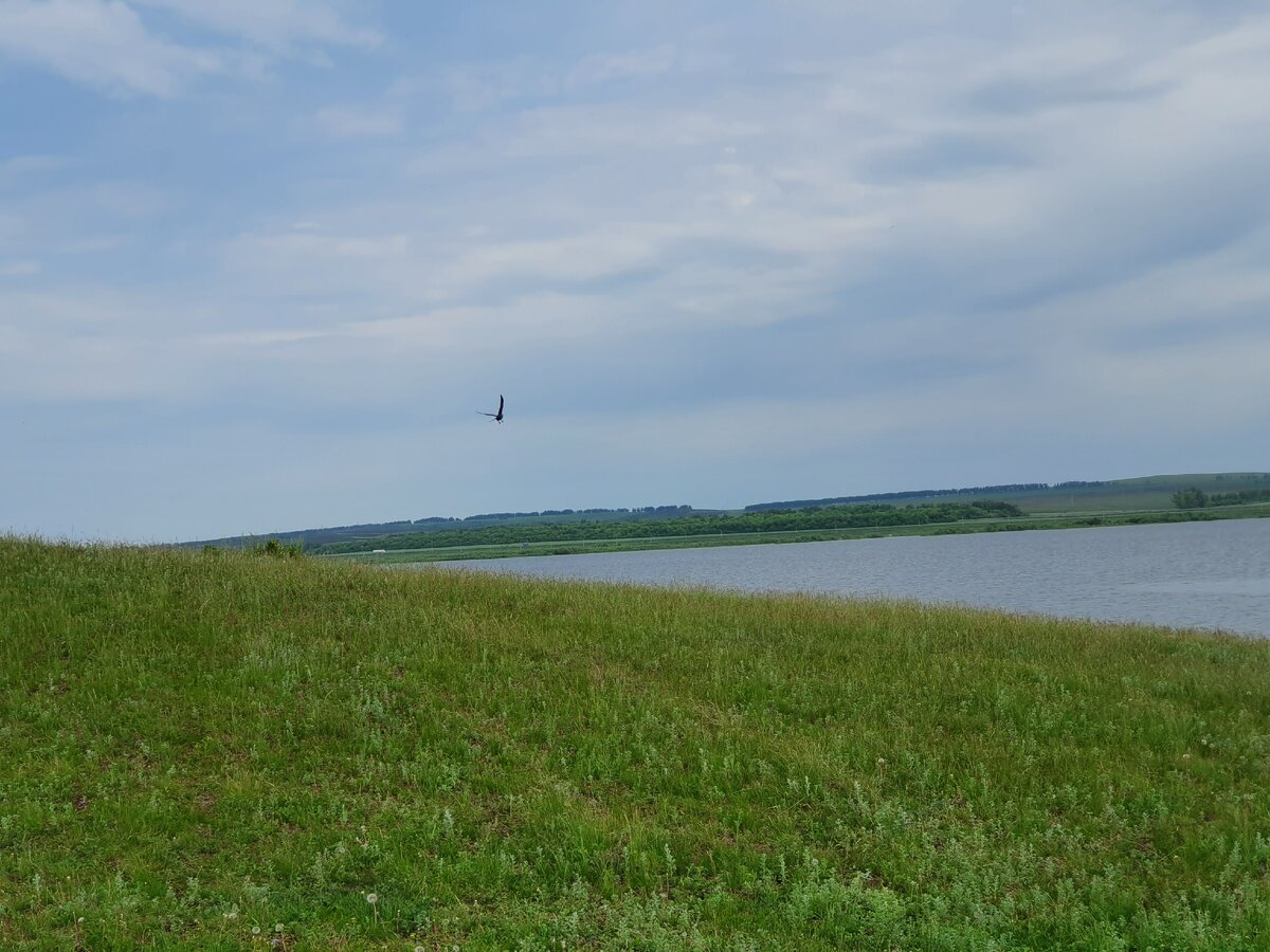 Водохранилище курынь