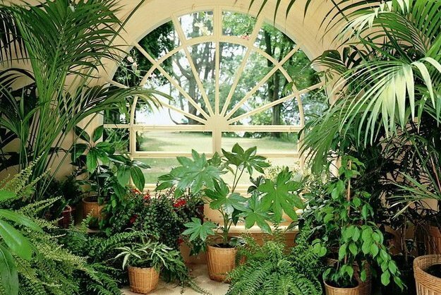 Фото из Google картинок 