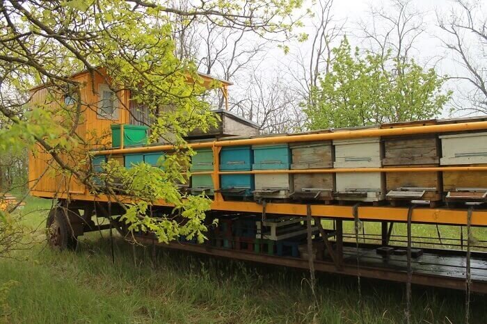 Фото взято из интернета