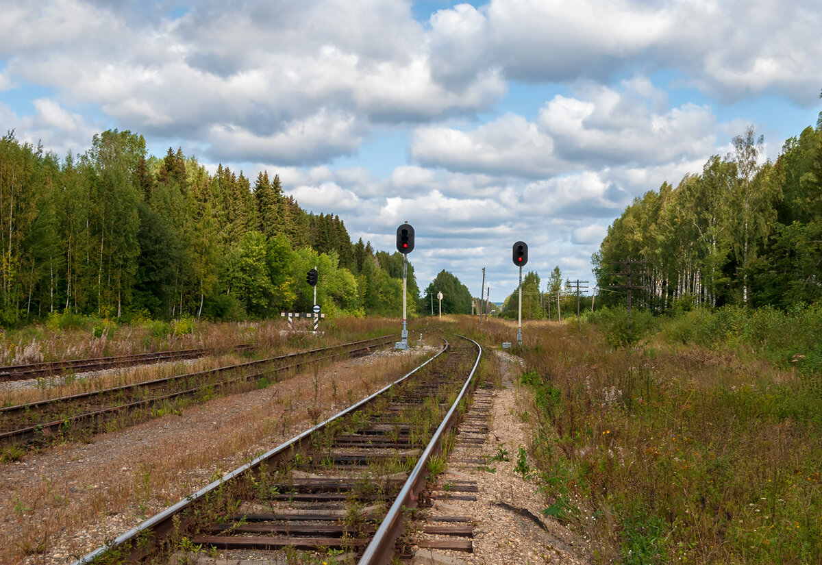 Поселок яр