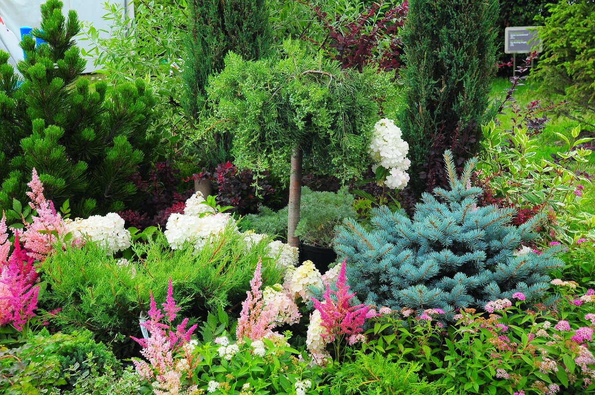 Фото Светланы Мариничевой