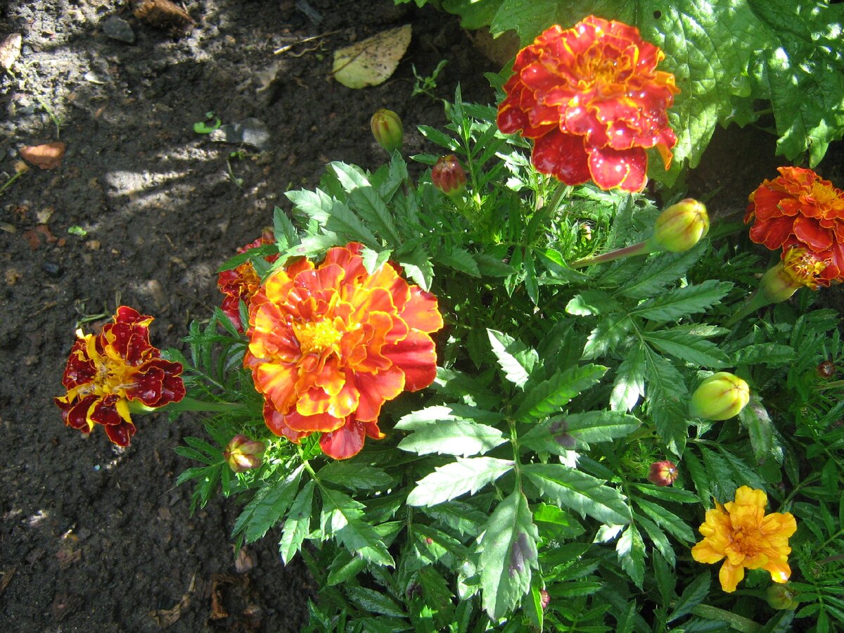 Автор - фото собственное