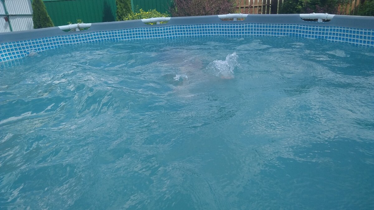 Чистая вода благодаря перекиси и фильтру.