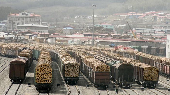 ФОТО СИБИРСКОГО ЛЕСА УХОДЯЩЕГО В КИТАЙ ЗА БЕСЦЕНОК. ДОКОЛЕ БУДЕТ ПРОДОЛЖАТСЯ ГРАБЕЖ СТРАНЫ И РОССИЯН. ИСТОЧНИК СВОБОДНЫЙ.