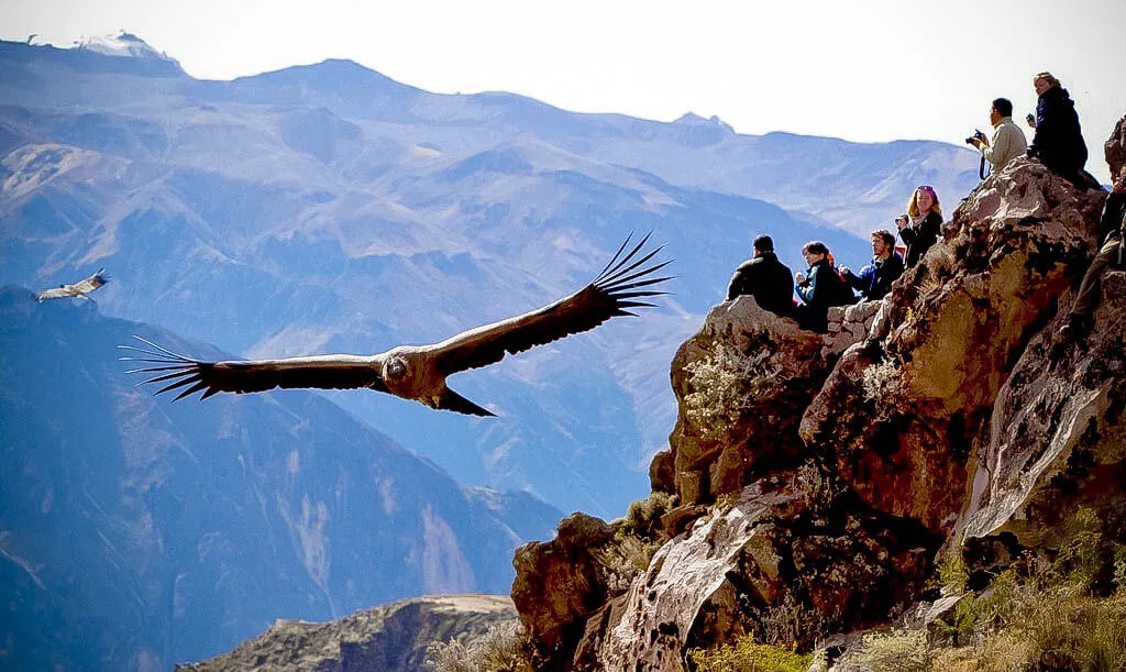 Вы кто такие? Мы вас не звали, валите обратно, вниз. 