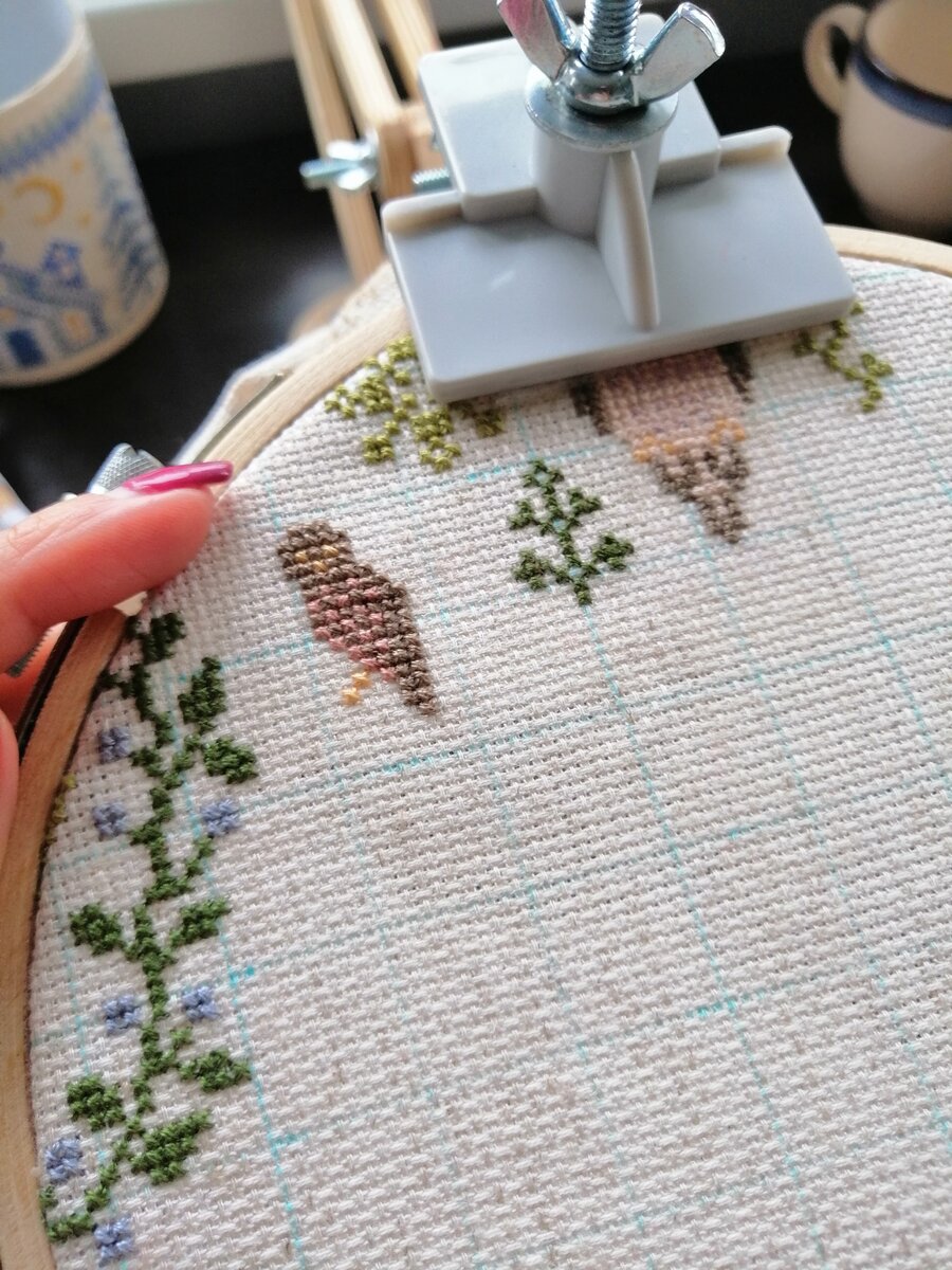 Маленькая иглоногая сова