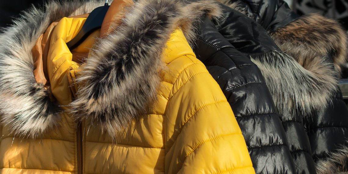 Фото: pixabay.com.