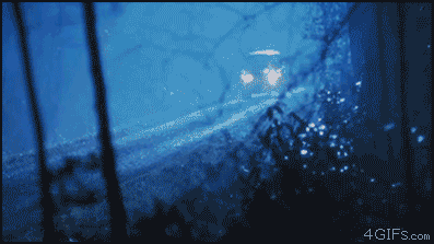 Фото взято из источника 4GIFs.com