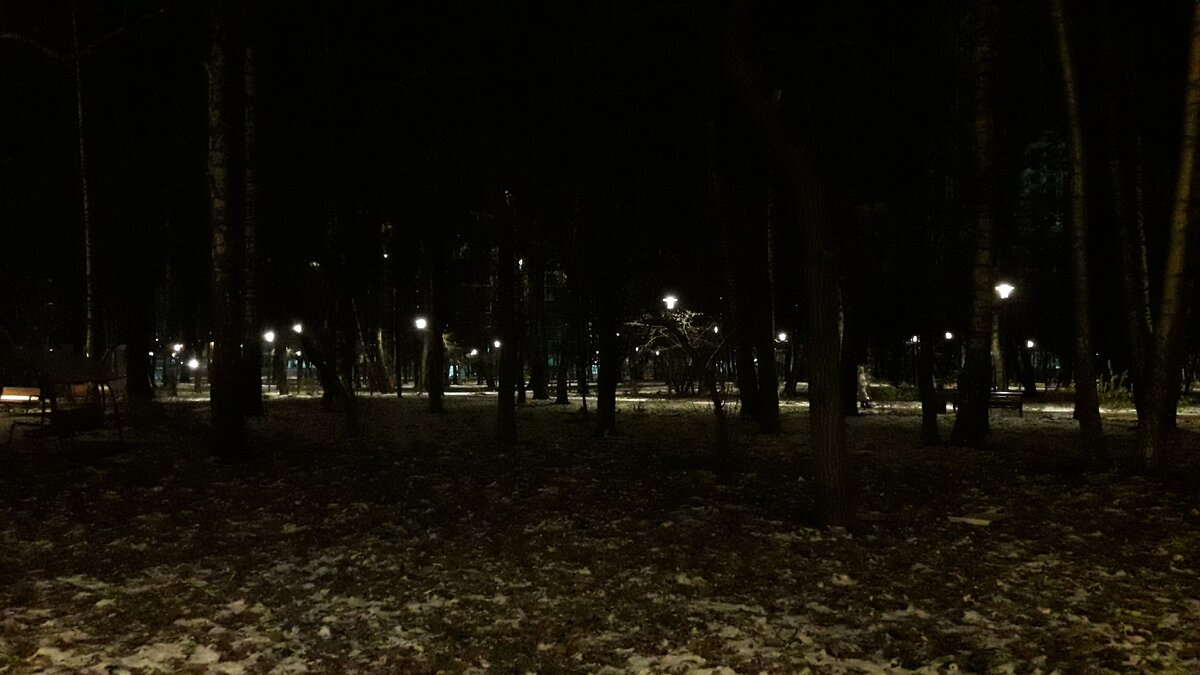 Сумеречный парк с фонарями. На фото лишь сотая доля очарования этого леса.