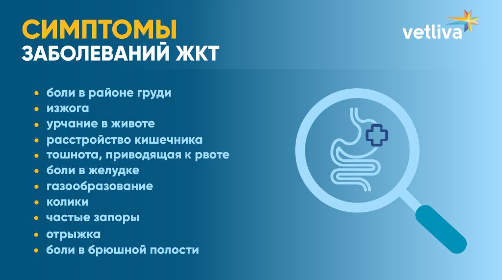 Фото из открытого источника