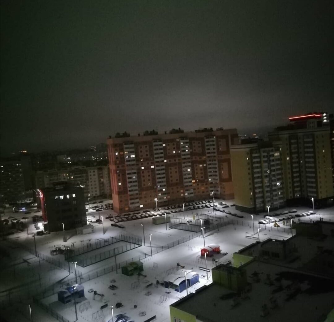 Муравейники