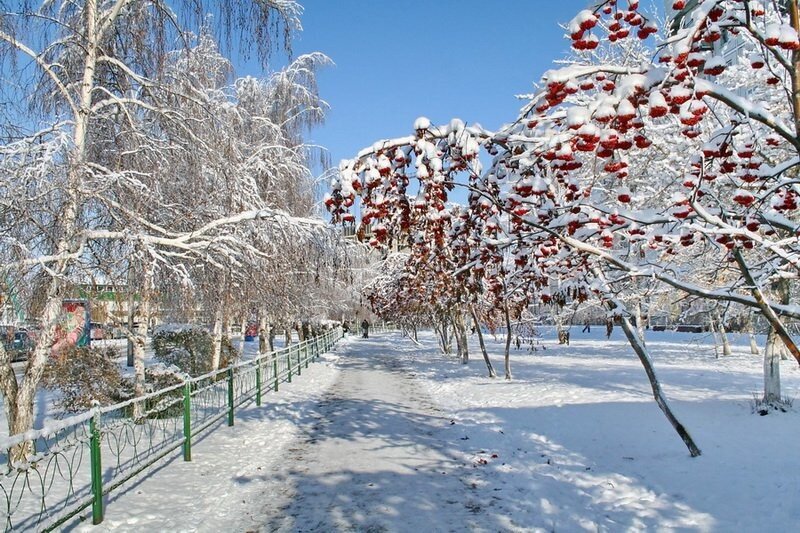 Моё фото. Прошлой зимой сделано.2019 год. 