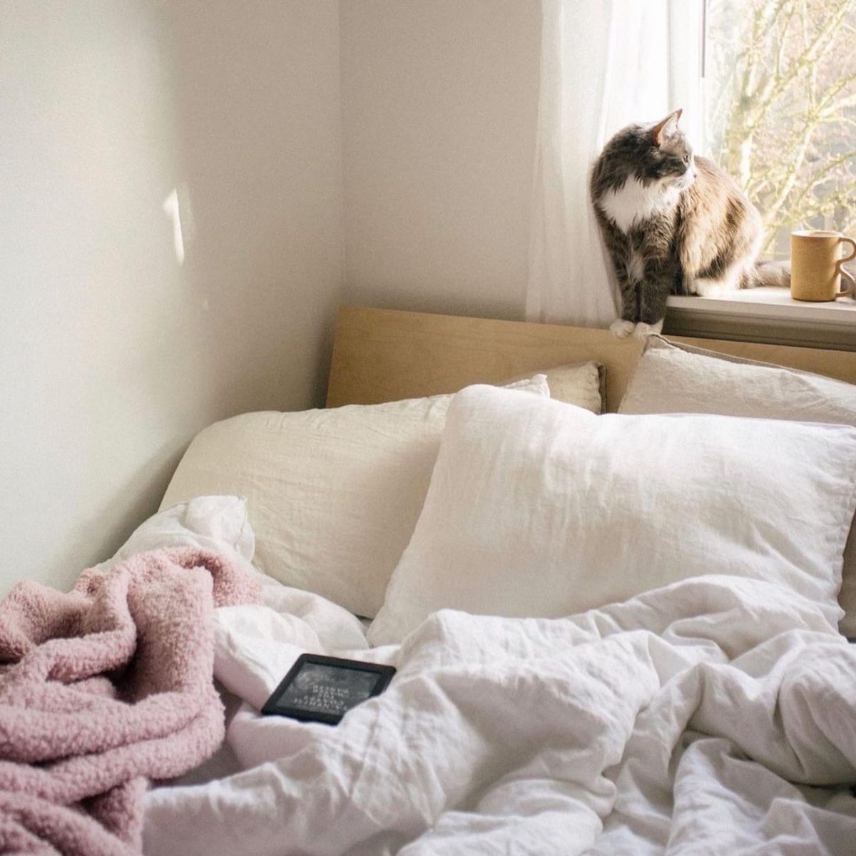 Уютное фото из простора интернета.