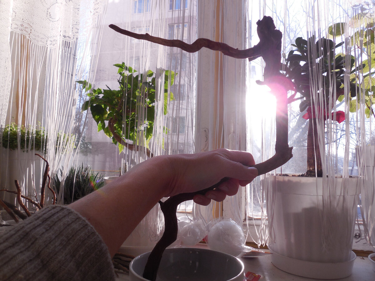 Интересно, но не то...