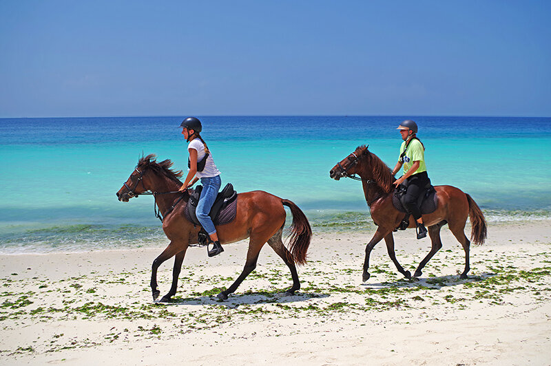 На берегу океана