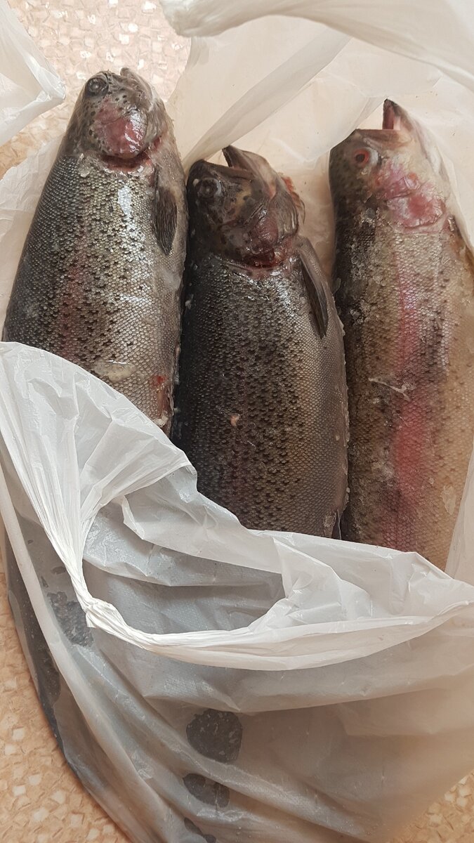 Вот они, красавицы