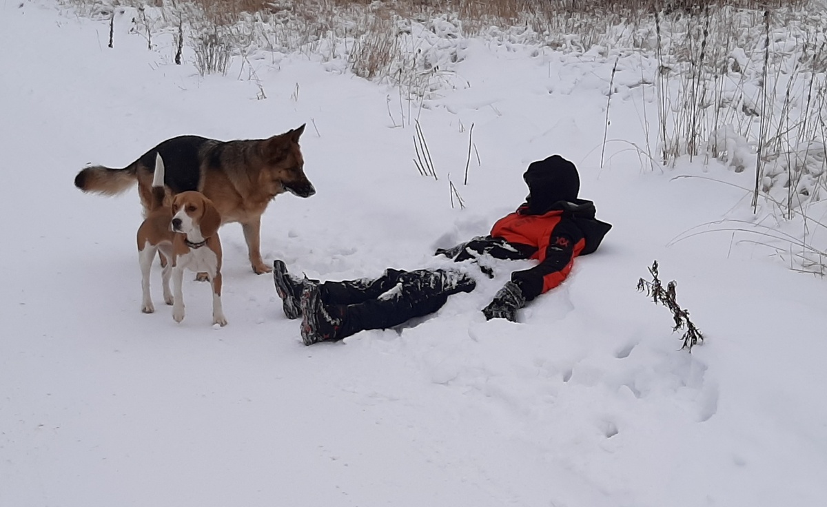 Снег чистый, хоть с головой ныряй.