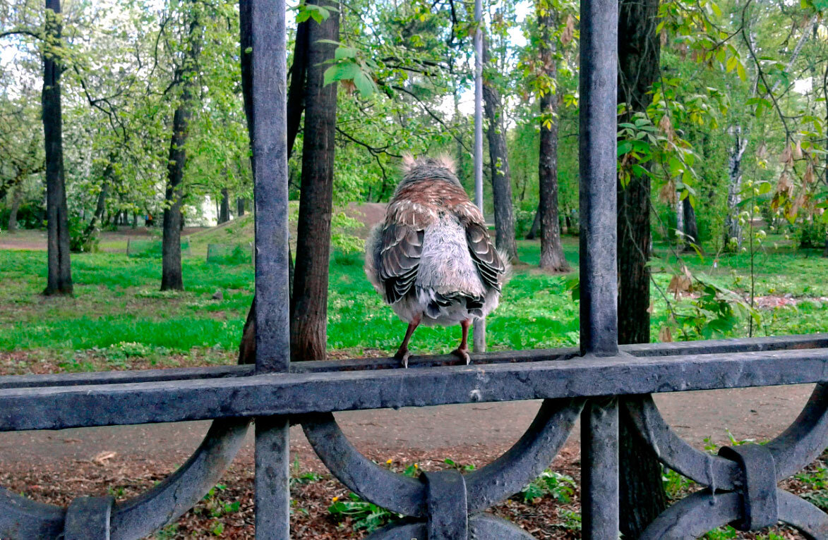 фото из собственного архива