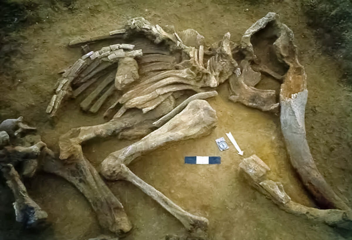 источник https://avatars.dzeninfra.ru/