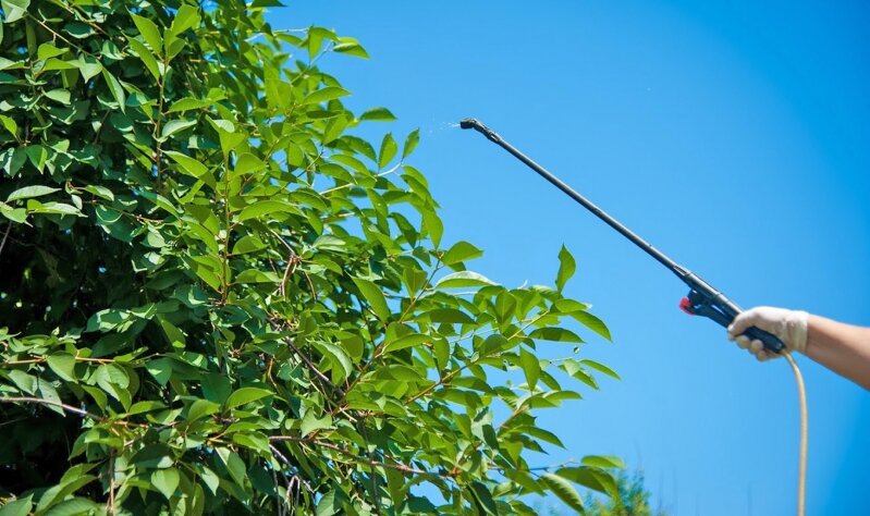 © Фото: ИД «Волгоградская правда» / Сергей Григоренко.