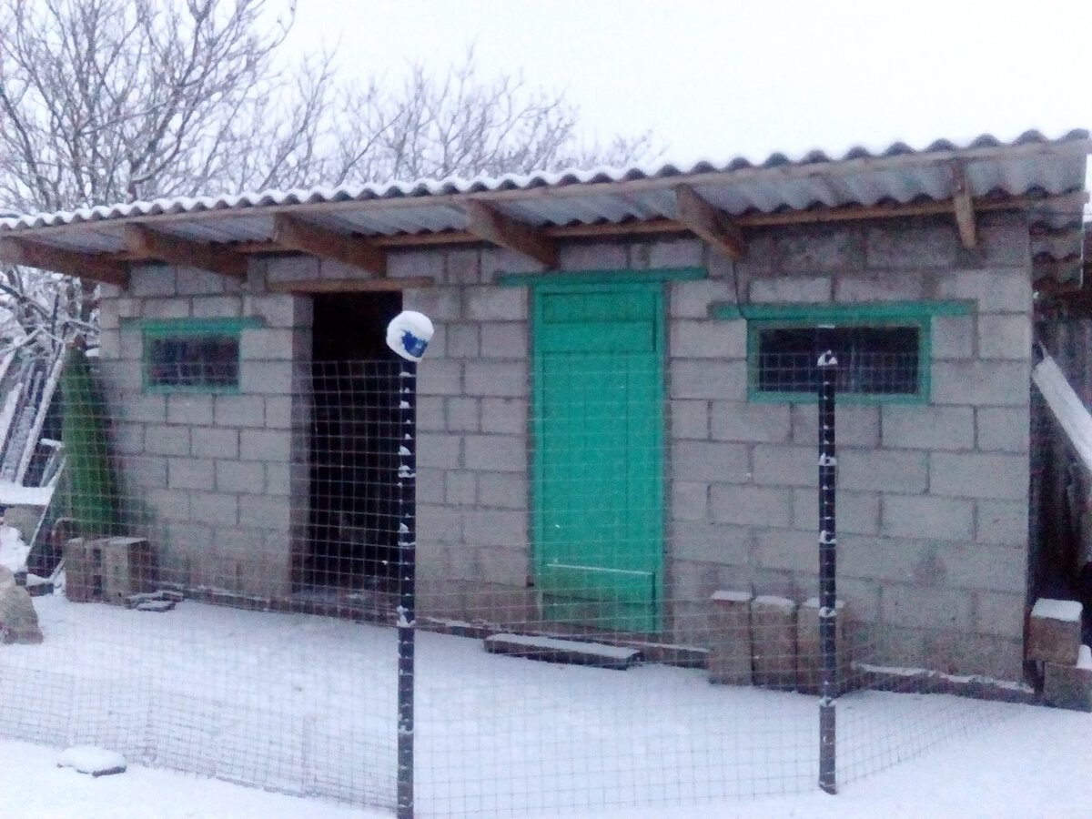 Сарай. Без него в деревне не прожить