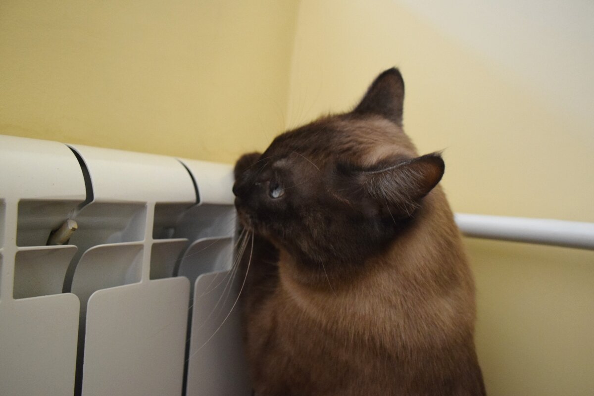 Фото: UfaTime.ru