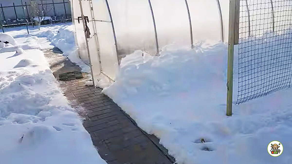 Теплица зимой