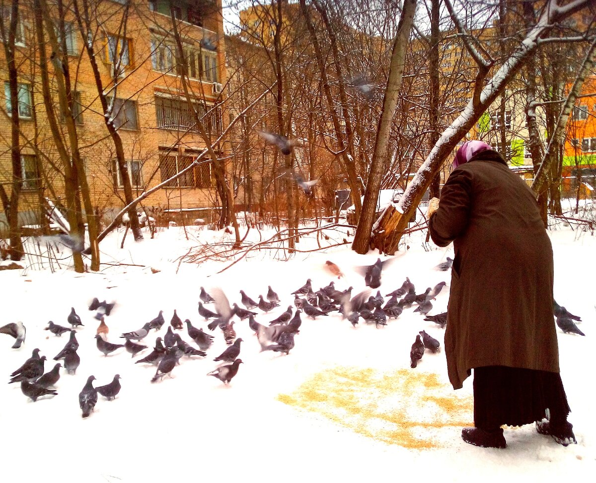 В любую погоду она здесь...Фото автора.