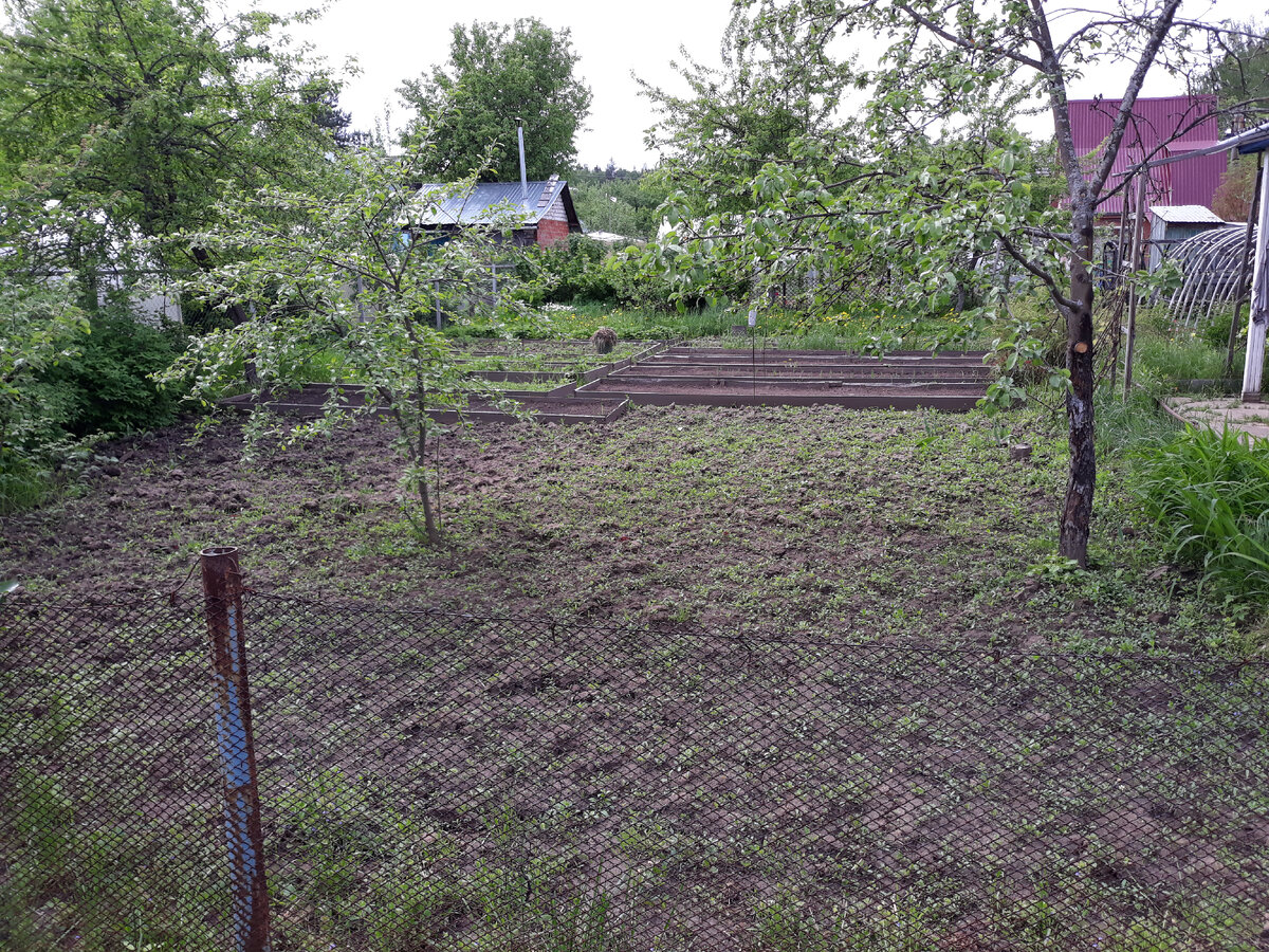 Участок с грядками