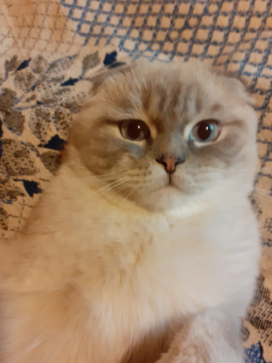 А что я? Я тут ни при чем!