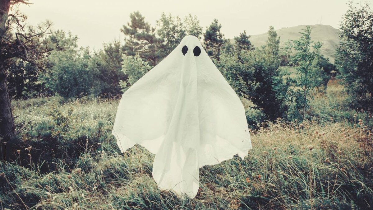 фото с сайта 123ru.net