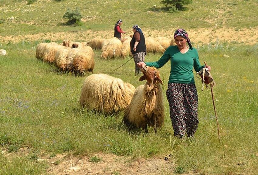 Источник: bursa.com