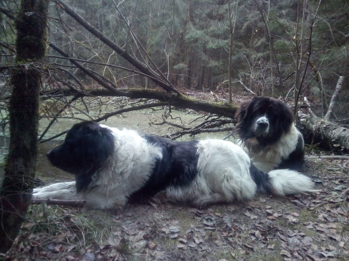 Пара моих знакомых, фото любезно предоставлены друзьями, личный архив