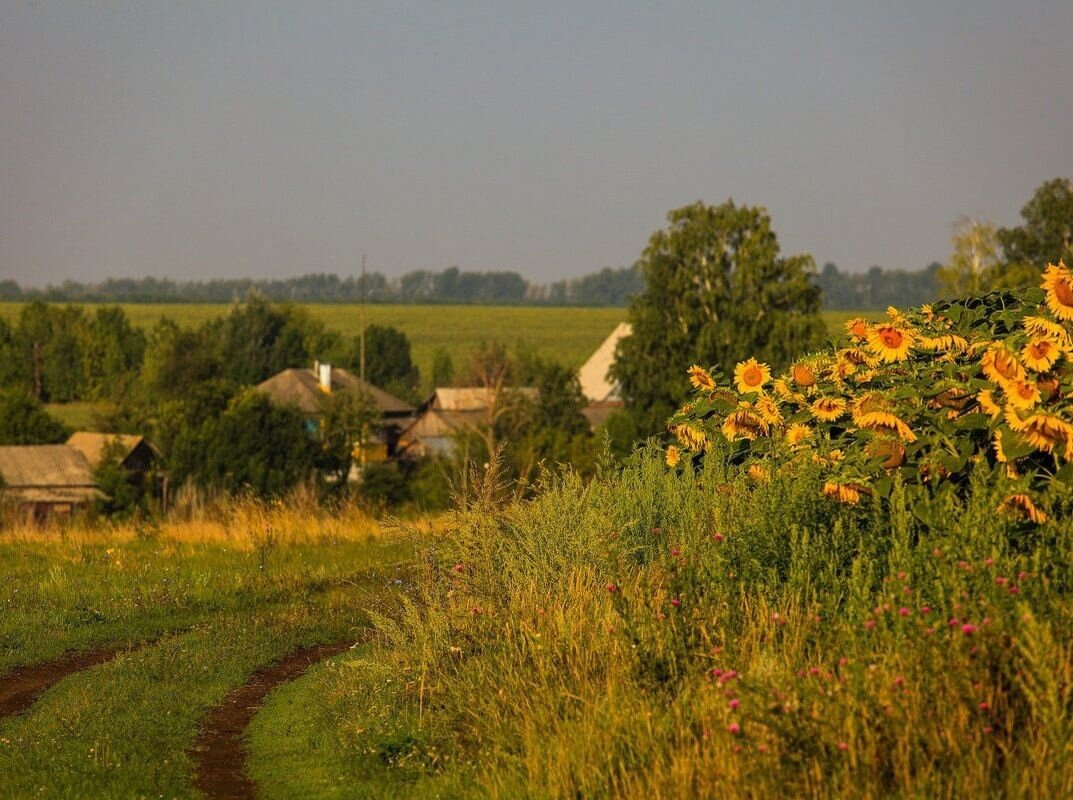 Источник изображения: mykaleidoscope.ru