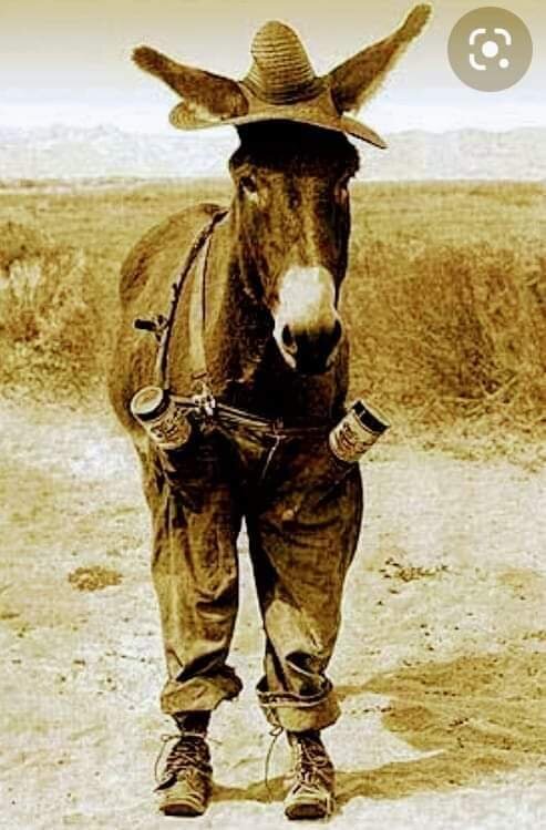 Картинка свободный доступ интернета.