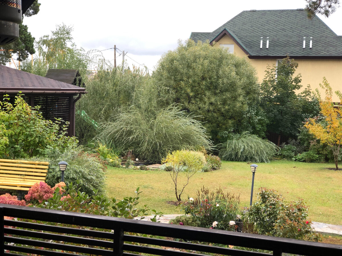 Скучаю по виду своего летнего сада