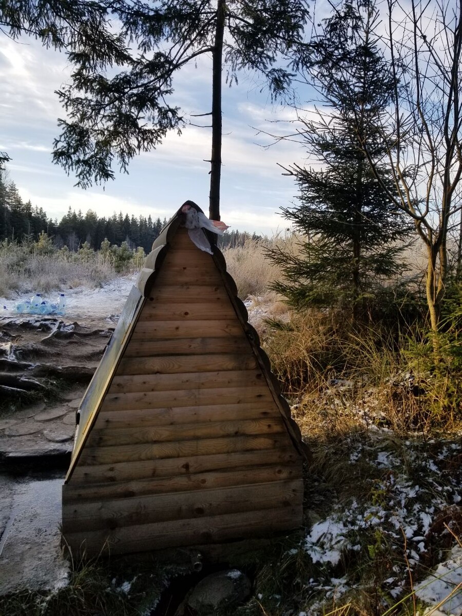 Родник в лесу