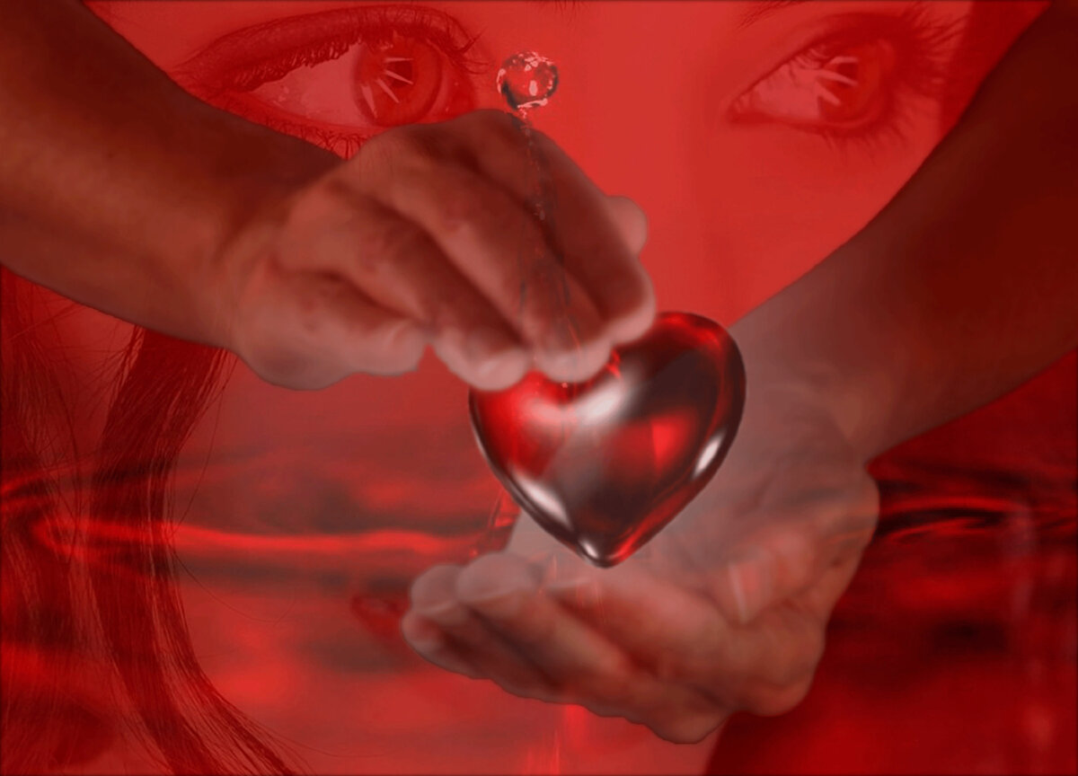 Коллаж из фото с открытых ресурсов интернета.