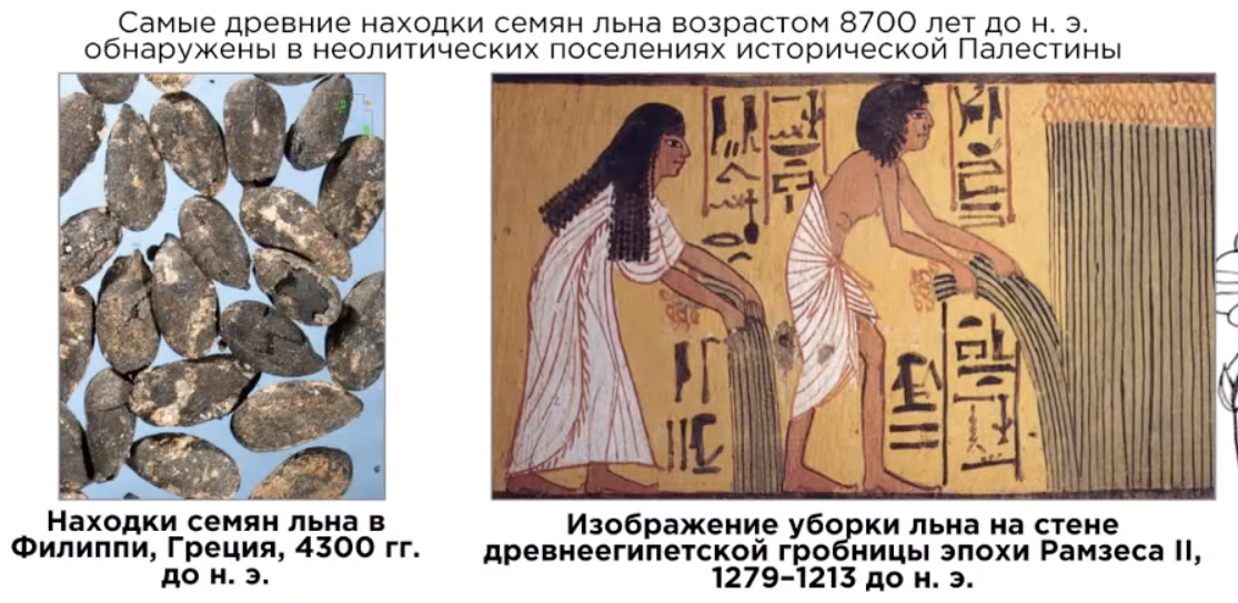 Фото: Сергей Зеленцов