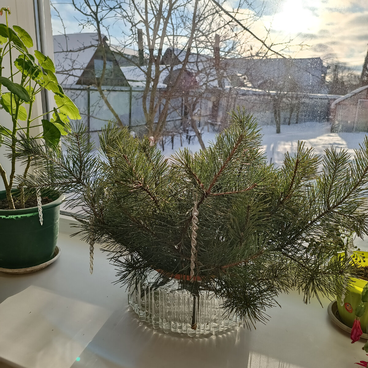 Новый год мы встретили в наших Озерах 