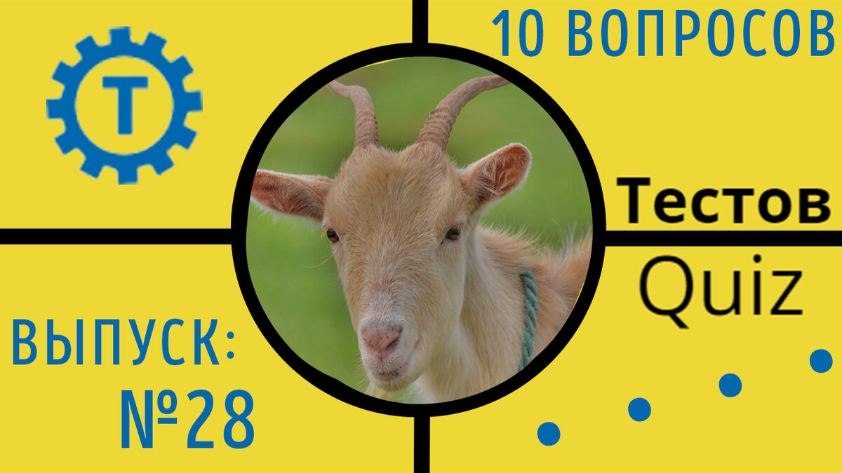 Коллаж автора Тестов Quiz // Выпуск №28