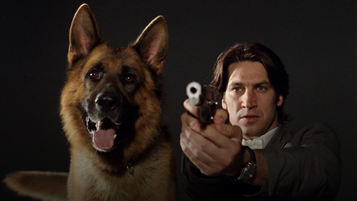 Источник: https://mhzchoiceblog.com/