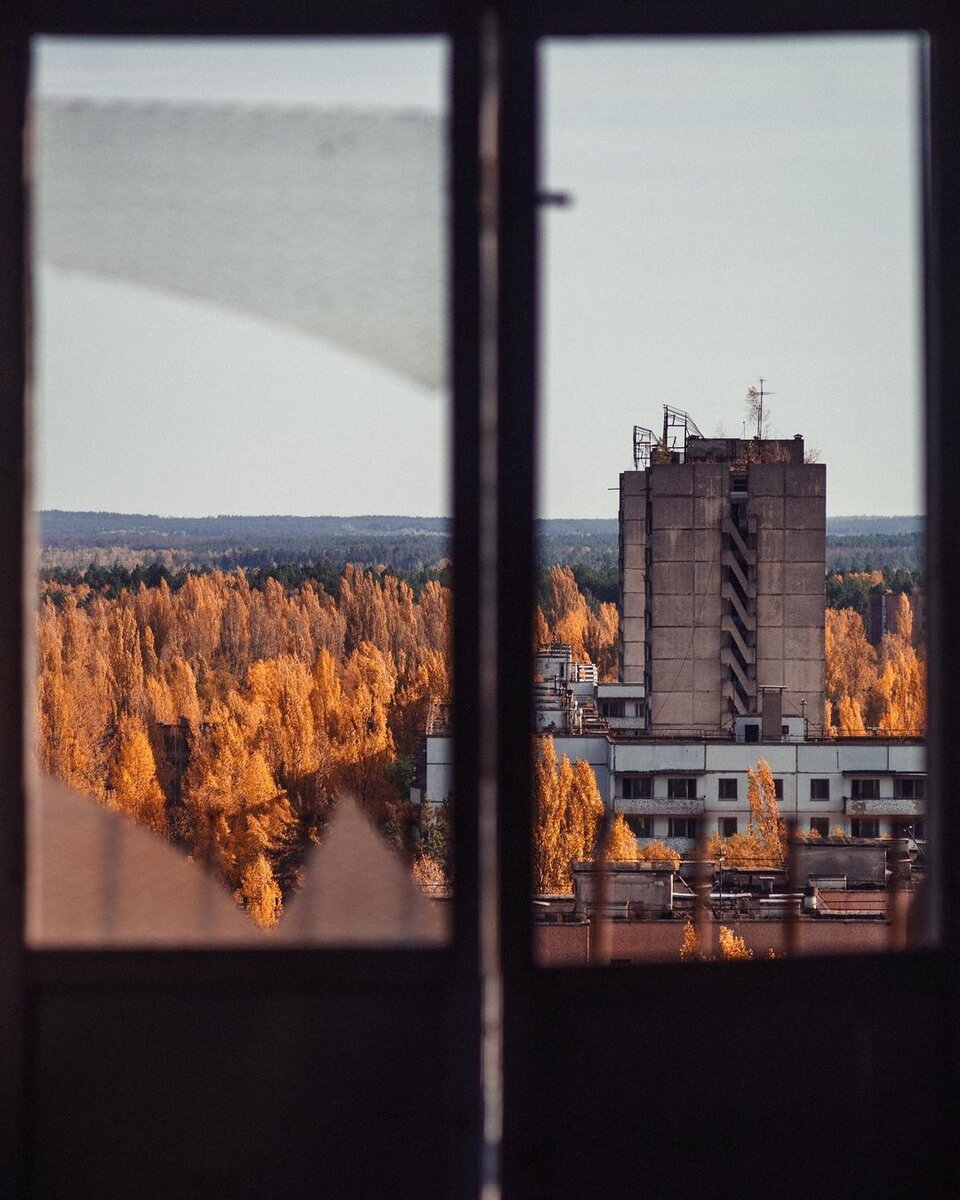 Автор фото — Арсений Котов.