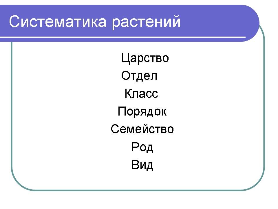 Реферат - Козачок Д.В.- Экологические проблемы студенческого городка и пути их р